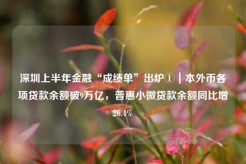 深圳上半年金融“成绩单”出炉①｜本外币各项贷款余额破9万亿，普惠小微贷款余额同比增26.4%