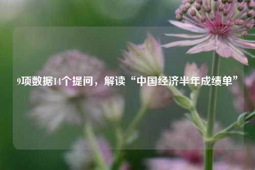9项数据14个提问，解读“中国经济半年成绩单”