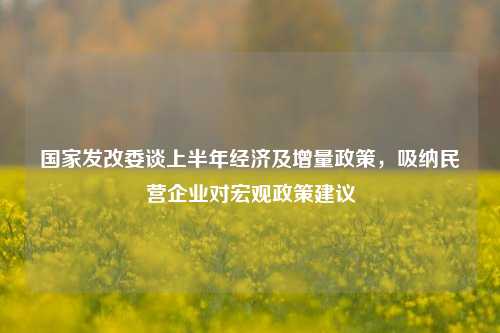 国家发改委谈上半年经济及增量政策，吸纳民营企业对宏观政策建议