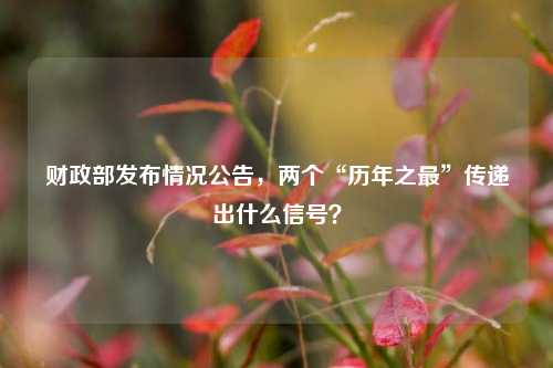财政部发布情况公告，两个“历年之最”传递出什么信号？