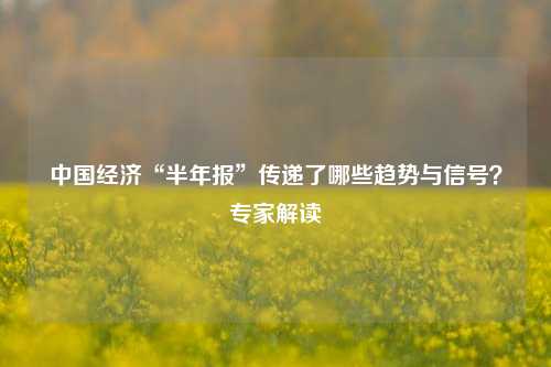 中国经济“半年报”传递了哪些趋势与信号？专家解读