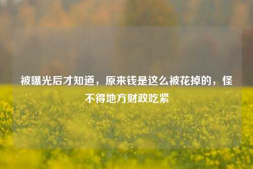 被曝光后才知道，原来钱是这么被花掉的，怪不得地方财政吃紧
