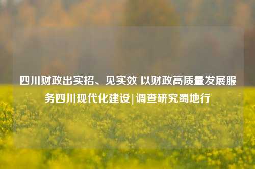 四川财政出实招、见实效 以财政高质量发展服务四川现代化建设|调查研究蜀地行