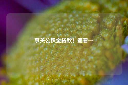 事关公积金贷款！速看→
