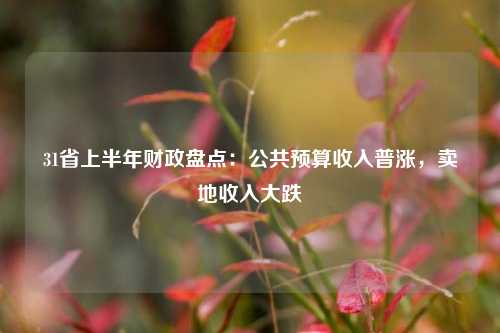 31省上半年财政盘点：公共预算收入普涨，卖地收入大跌