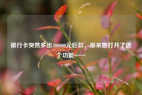 银行卡突然多出300000元巨款，原来她打开了这个功能……