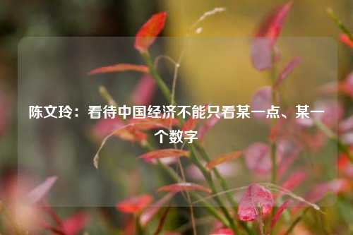 陈文玲：看待中国经济不能只看某一点、某一个数字