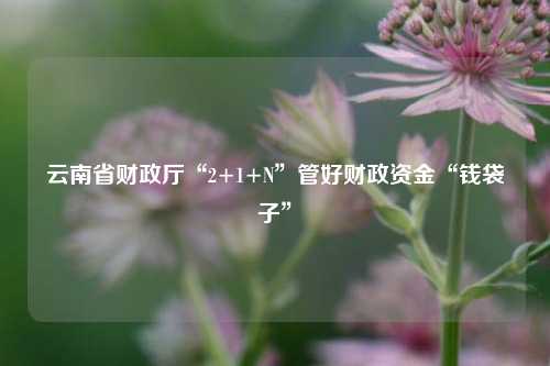 云南省财政厅“2+1+N”管好财政资金“钱袋子”