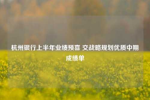 杭州银行上半年业绩预喜 交战略规划优质中期成绩单