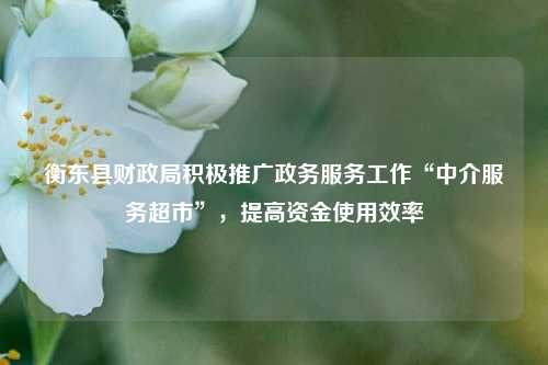 衡东县财政局积极推广政务服务工作“中介服务超市”，提高资金使用效率