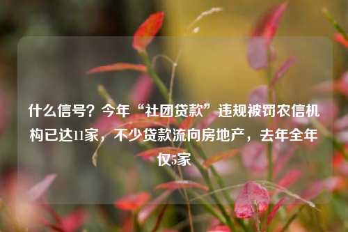 什么信号？今年“社团贷款”违规被罚农信机构已达11家，不少贷款流向房地产，去年全年仅5家