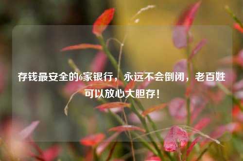 存钱最安全的6家银行，永远不会倒闭，老百姓可以放心大胆存！