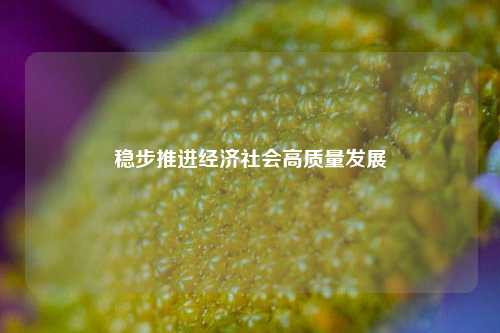 稳步推进经济社会高质量发展