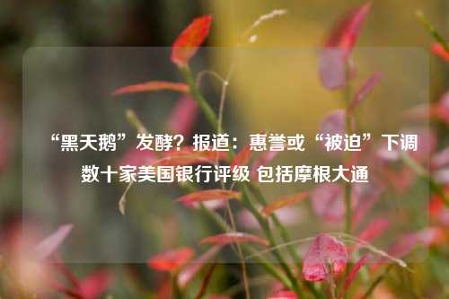“黑天鹅”发酵？报道：惠誉或“被迫”下调数十家美国银行评级 包括摩根大通