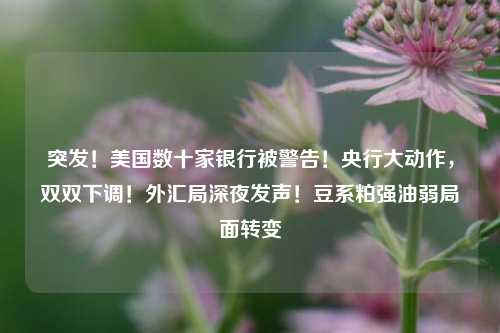 突发！美国数十家银行被警告！央行大动作，双双下调！外汇局深夜发声！豆系粕强油弱局面转变