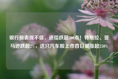 银行股表现不佳，道指跌超300点！特斯拉、亚马逊跌超2%，这只汽车股上市首日暴涨超250%