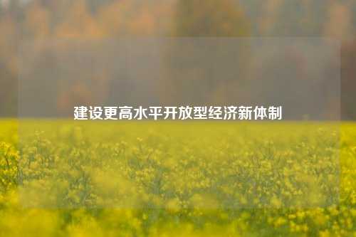 建设更高水平开放型经济新体制