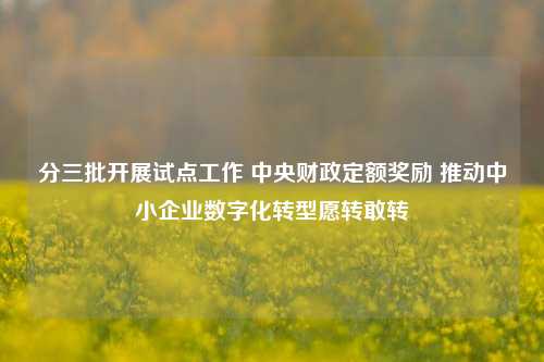 分三批开展试点工作 中央财政定额奖励 推动中小企业数字化转型愿转敢转