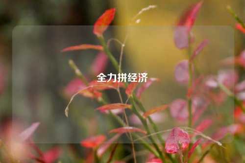 全力拼经济