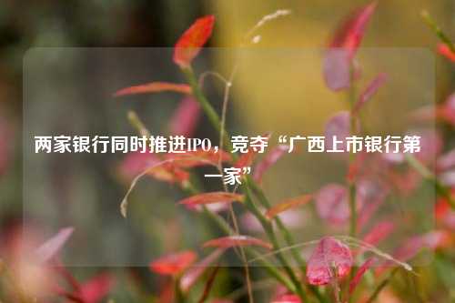 两家银行同时推进IPO，竞夺“广西上市银行第一家”