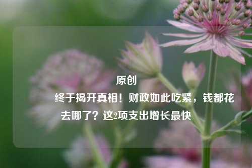 原创 终于揭开真相！财政如此吃紧，钱都花去哪了？这2项支出增长最快