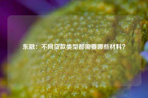 东融：不同贷款类型都需要哪些材料？