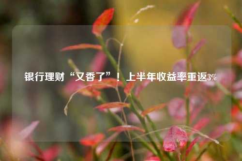 银行理财“又香了”！上半年收益率重返3%