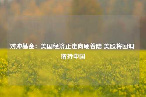 对冲基金：美国经济正走向硬着陆 美股将回调 增持中国