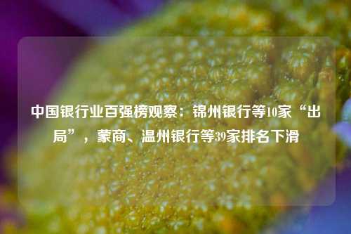 中国银行业百强榜观察：锦州银行等10家“出局”，蒙商、温州银行等39家排名下滑