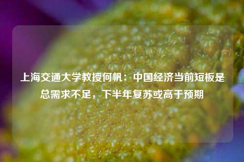 上海交通大学教授何帆：中国经济当前短板是总需求不足，下半年复苏或高于预期
