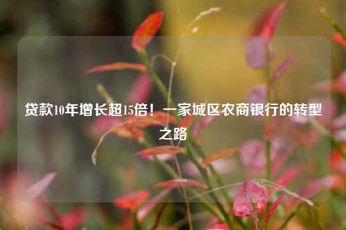 贷款10年增长超15倍！一家城区农商银行的转型之路