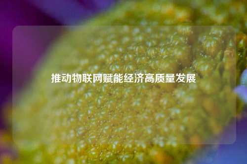 推动物联网赋能经济高质量发展