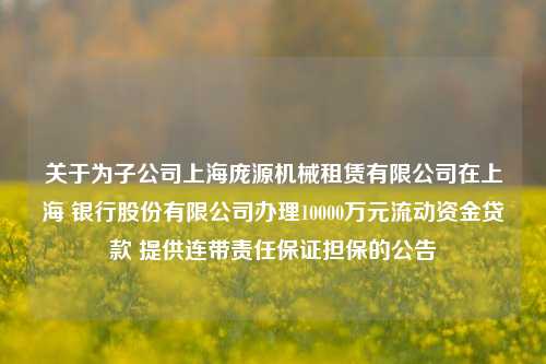 关于为子公司上海庞源机械租赁有限公司在上海 银行股份有限公司办理10000万元流动资金贷款 提供连带责任保证担保的公告
