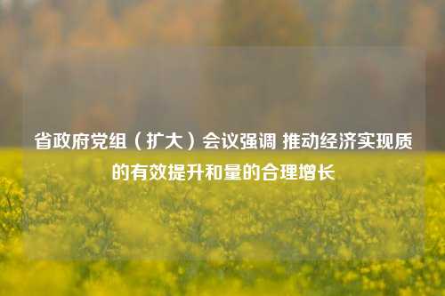 省政府党组（扩大）会议强调 推动经济实现质的有效提升和量的合理增长