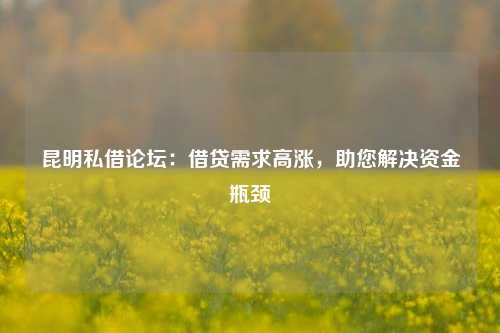 昆明私借论坛：借贷需求高涨，助您解决资金瓶颈 金融 民间借贷 第1张