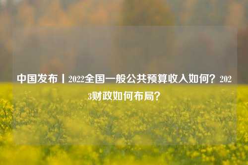 中国发布丨2022全国一般公共预算收入如何？2023财政如何布局？