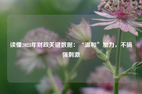 读懂2023年财政关键数据：“温和”加力，不搞强刺激