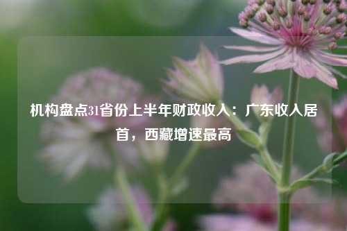 机构盘点31省份上半年财政收入：广东收入居首，西藏增速最高
