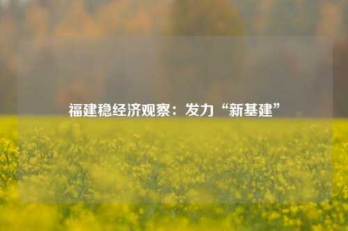 福建稳经济观察：发力“新基建”