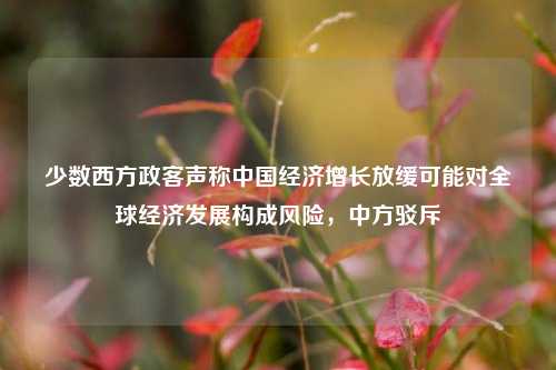 少数西方政客声称中国经济增长放缓可能对全球经济发展构成风险，中方驳斥