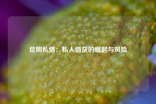昆明私借：私人借贷的崛起与风险 金融 民间借贷 第1张