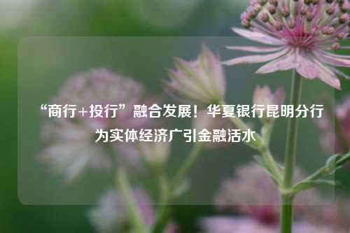 “商行+投行”融合发展！华夏银行昆明分行为实体经济广引金融活水