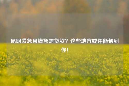 昆明紧急用钱急需贷款？这些地方或许能帮到你！ 银行 昆明急用钱 第1张