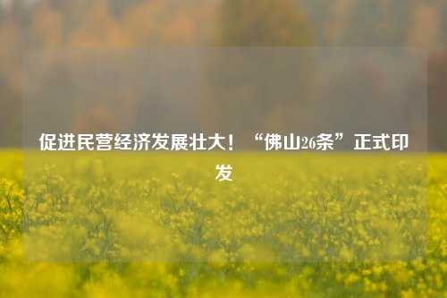 促进民营经济发展壮大！“佛山26条”正式印发