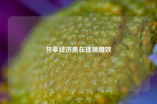 共享经济贵在提质增效