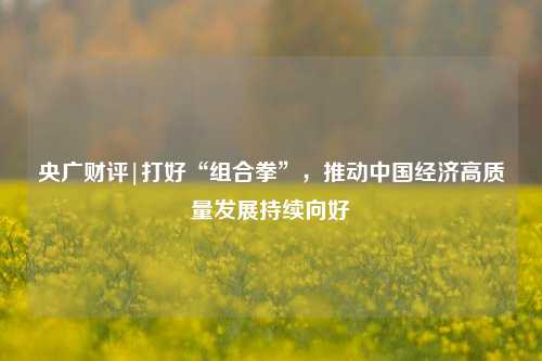 央广财评|打好“组合拳”，推动中国经济高质量发展持续向好