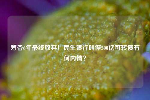 筹备6年最终放弃！民生银行叫停500亿可转债有何内情？
