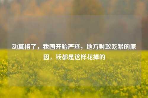 动真格了，我国开始严查，地方财政吃紧的原因，钱都是这样花掉的