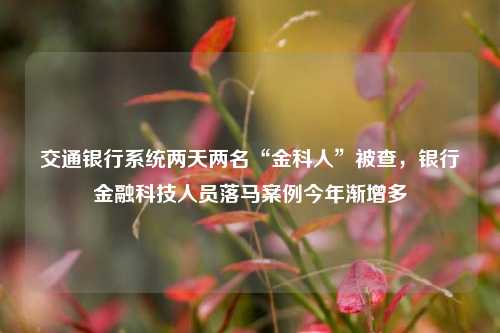 交通银行系统两天两名“金科人”被查，银行金融科技人员落马案例今年渐增多