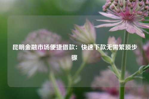 昆明金融市场便捷借款：快速下款无需繁琐步骤 金融 个人借钱 第1张
